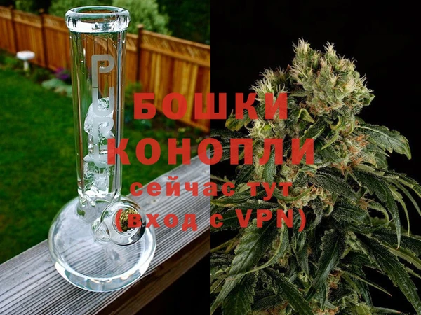 PSILOCYBIN Беломорск