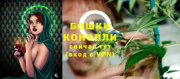 прущие крисы Белокуриха