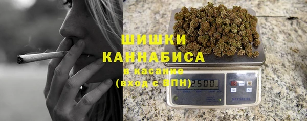 PSILOCYBIN Беломорск